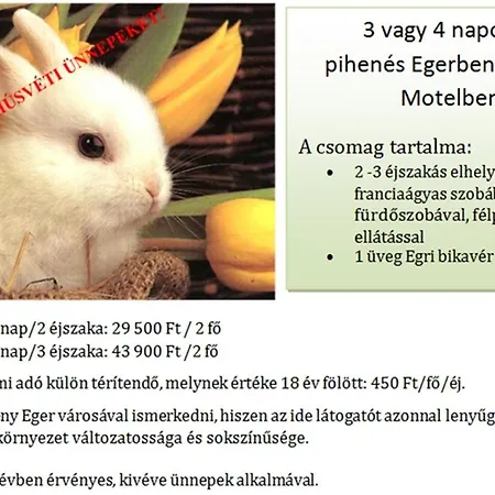 Hotel Turist 3*